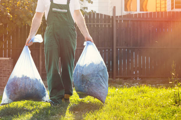 Basement Cleanout Services in Harrisville, WV